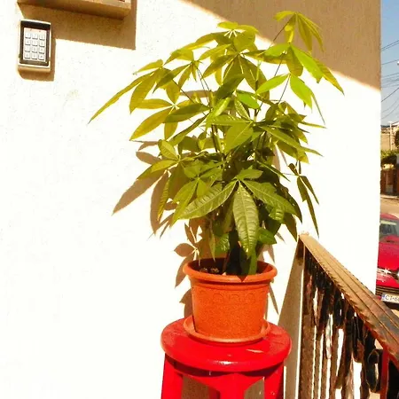 בית הארחה Adrys Boutique