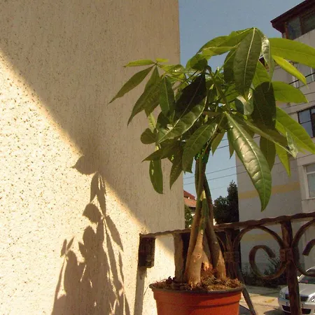 Adrys Boutique קונסטנצה