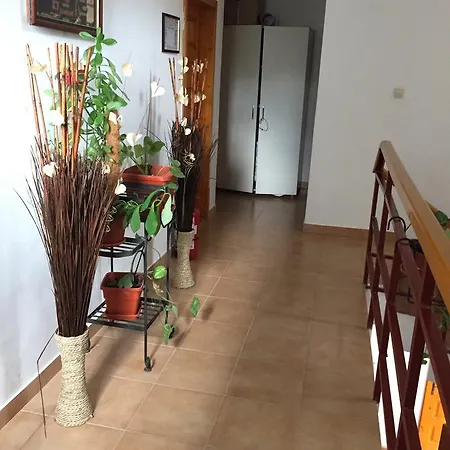 בית הארחה Adrys Boutique קונסטנצה