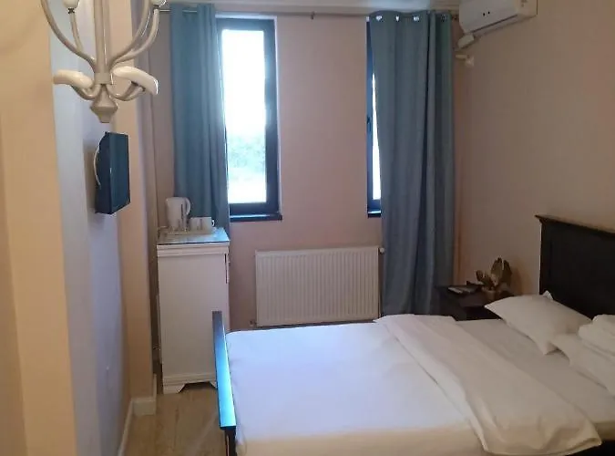 Adrys Boutique ゲストハウス コンスタンツァ