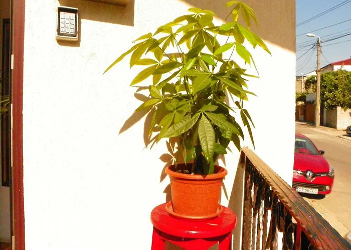 ゲストハウス Adrys Boutique