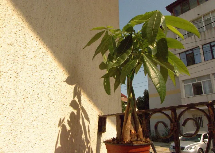 Adrys Boutique Constanţa