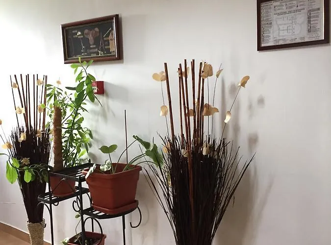 Adrys Boutique Pensiune 4*