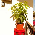 Guest house Adrys Boutique