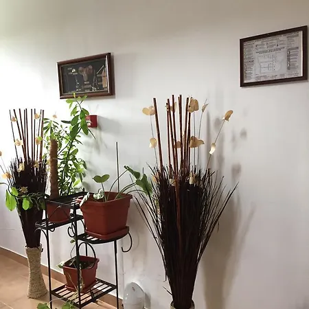 Adrys Boutique Konukevi 3*