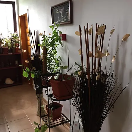 Konukevi Adrys Boutique