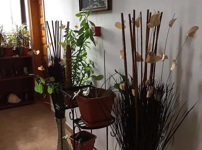 Gasthof Adrys Boutique